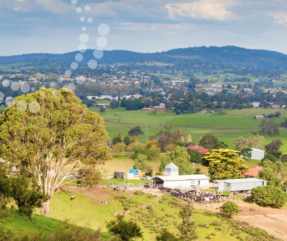Shot of a dairy farm in Bega with mountains in the background.